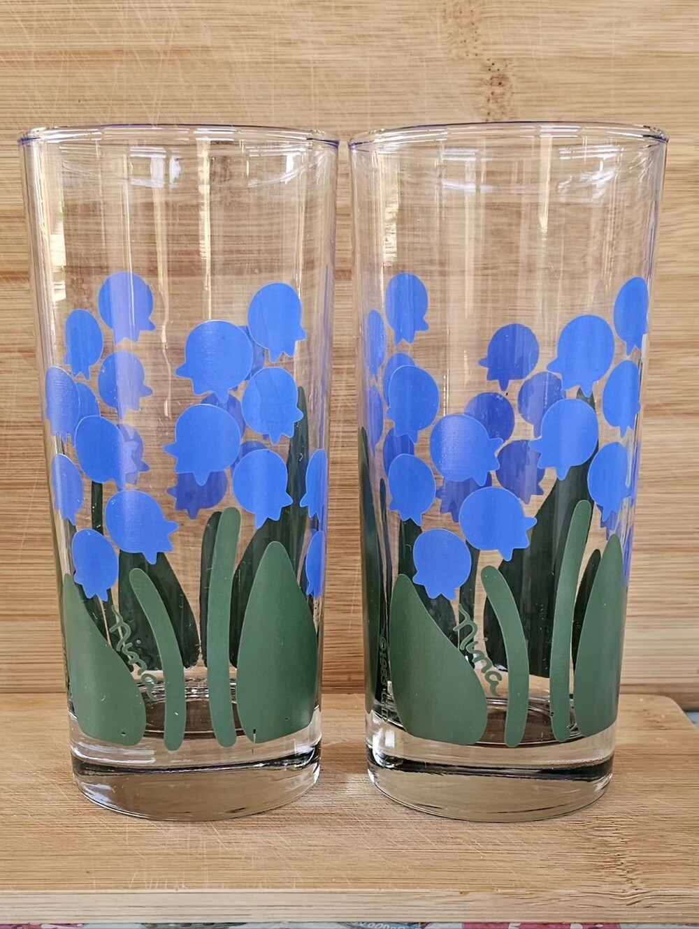 Vintage Anchor Hocking Nina Greenhouse Collection Tumbler Glasses Set of 2